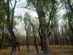-将府公园