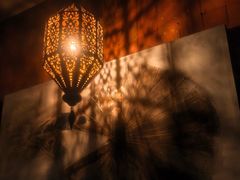 -菩泰·泰式草本按摩SPA(国大城市广场店)