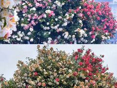 -长沙火车站(地铁站)