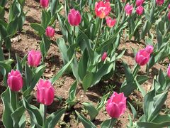 -长春公园(普阳街道)