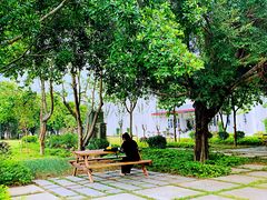 -广西大学(大学东路校区)