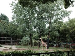 -红山森林动物园