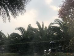 -苏州湾王焰温泉度假酒店