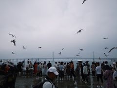 -星海广场