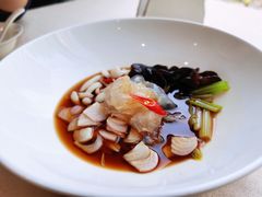 -食神鱼头佛跳墙(百子湾旗舰店)