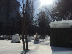 -北海道厅旧本厅舍(旧本庁舎)