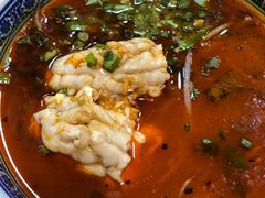 -蛙麻蛙辣炭火蛙锅(南环大街店)