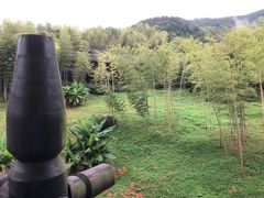 -大唐贡茶院