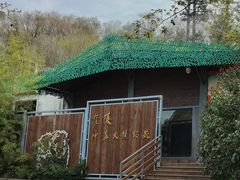 -合肥野生动物园