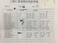 -仁普宠物诊所(住友昌盛新苑店)