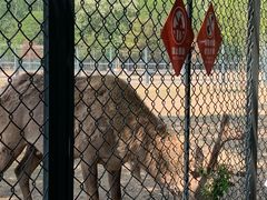-北京麋鹿生态实验中心