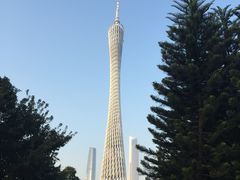 -广州都市观光巴士(粤陶巴)