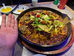 -老板恋上鱼(恒隆广场店)