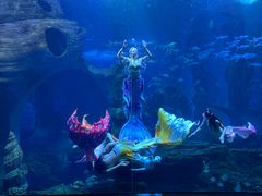 -多彩贵州城极地海洋世界