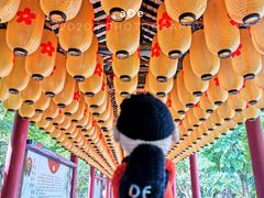 -佛山市三水温泉度假村