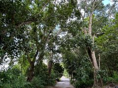 -西双版纳傣族园