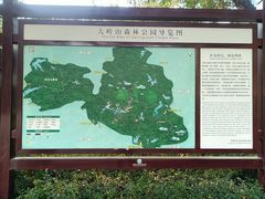 -东莞市大岭山森林公园