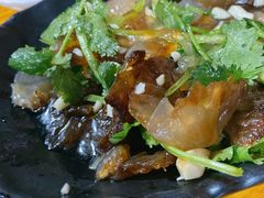 老醋蜇头-丹东特色烤肉(南光三部店)