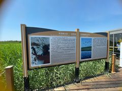 -黑龙江扎龙生态旅游区