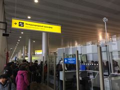 -谢列梅捷沃国际机场