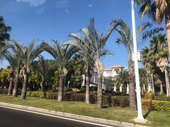 -八婆婆烧仙草(曾厝垵店)