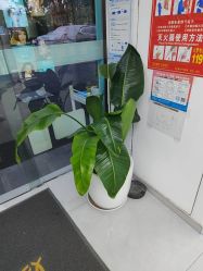 -斐尔国际皮肤管理中心