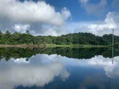 -海南热带雨林国家公园吊罗山景区
