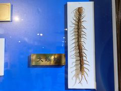 -上海昆虫博物馆