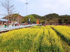 -红山村