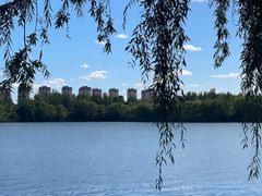 -丁香湖公园