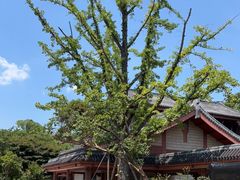 -浙江省博物馆(孤山馆区)