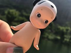 -九曲溪竹筏码头