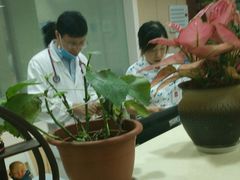 -浙江省立同德医院(翠苑院区)