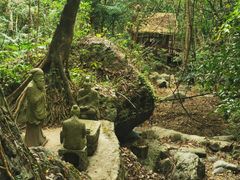 -七仙岭温泉国家森林公园