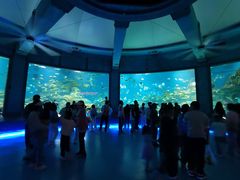 -海合安武汉极地海洋公园