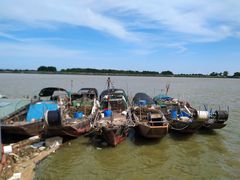 -大湾区中央湿地公园-十九涌