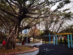 -荔香公园