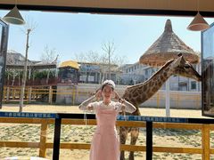 -西霞口神雕山野生动物世界