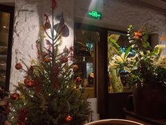 -Apollo·西班牙小酒馆(安福路店)