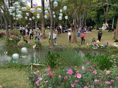 -人民公园(罗湖区)