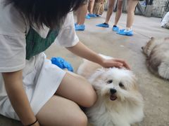 -TrueLove @ Neverland (Husky Cafe)