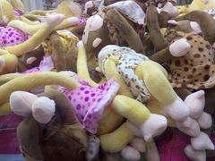 -沃尔玛(建设路店)