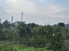 -凤岗南门山森林公园