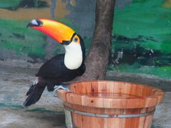 -泉州海丝野生动物世界