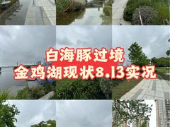 -金鸡湖景区