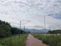 -沣峪口