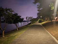 -羊山湖公园