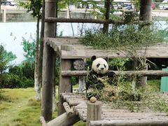 -西霞口神雕山野生动物世界