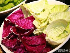 -鼎香缘海鲜自助火锅烤肉(锦辉购物广场店)