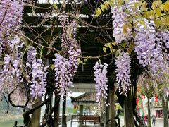 -溪口-滕头旅游景区